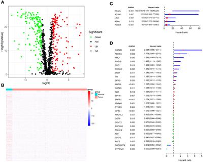 Construction and validation of a metabolic-associated lncRNA risk index for predicting colorectal cancer prognosis